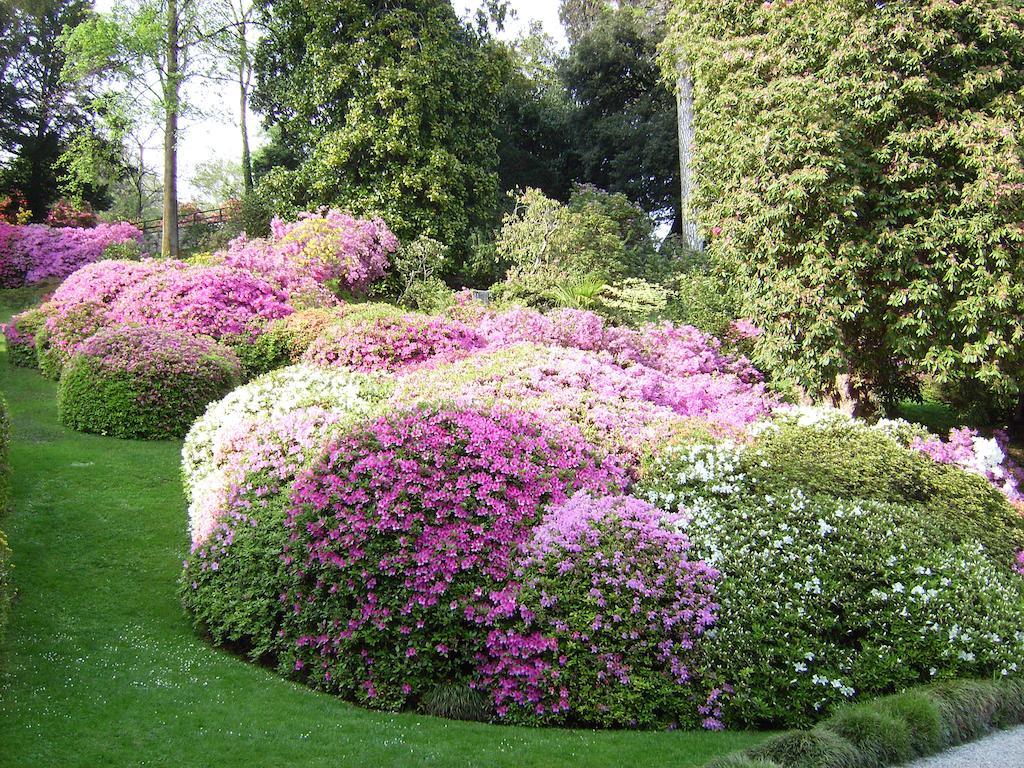 Charming Glicine And Azalea House Art And Colour With Lakeview Cadenabbia Zimmer foto
