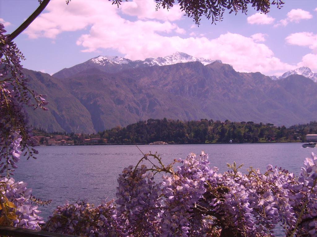 Charming Glicine And Azalea House Art And Colour With Lakeview Cadenabbia Zimmer foto