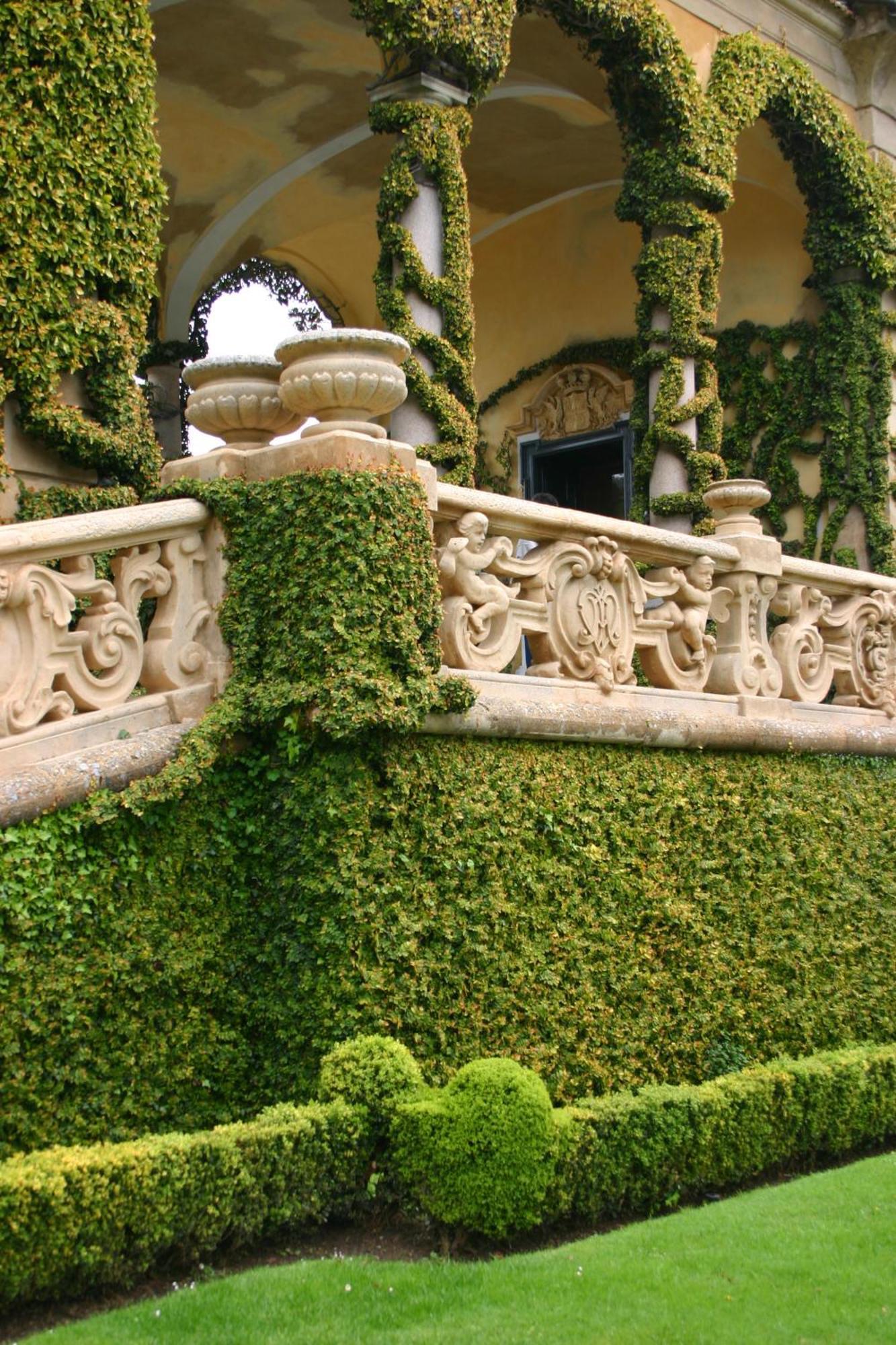 Charming Glicine And Azalea House Art And Colour With Lakeview Cadenabbia Exterior foto