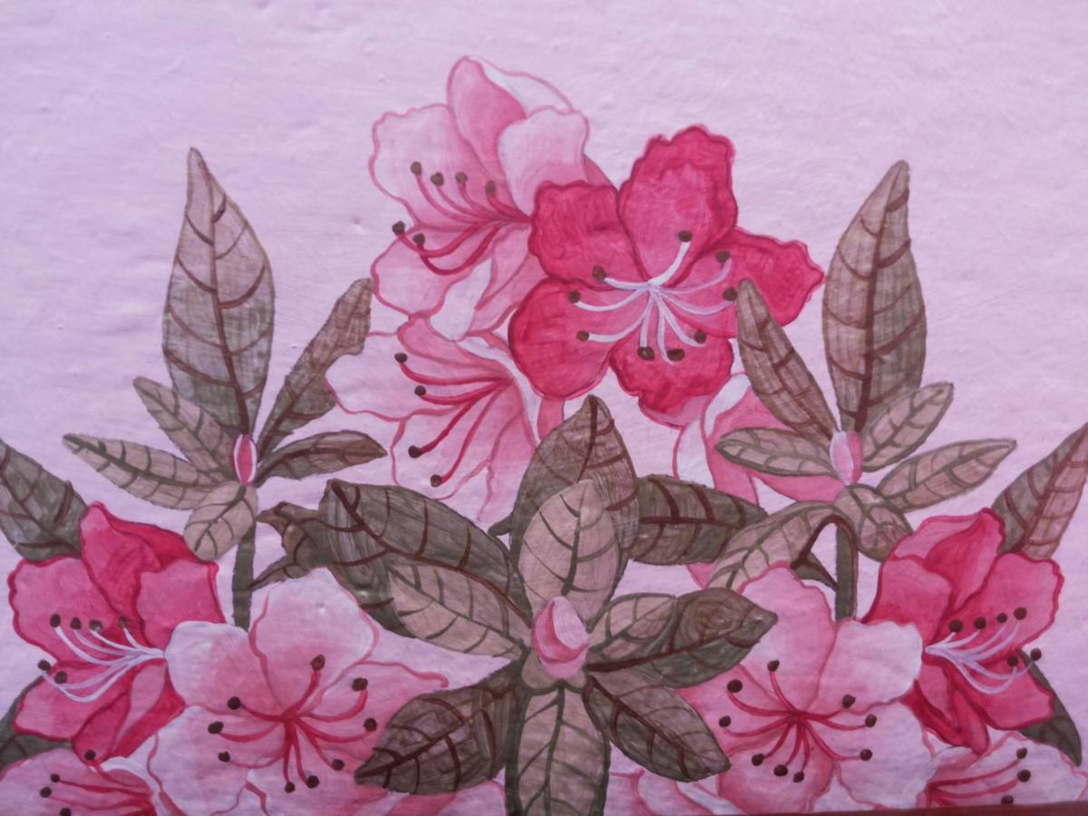 Charming Glicine And Azalea House Art And Colour With Lakeview Cadenabbia Exterior foto